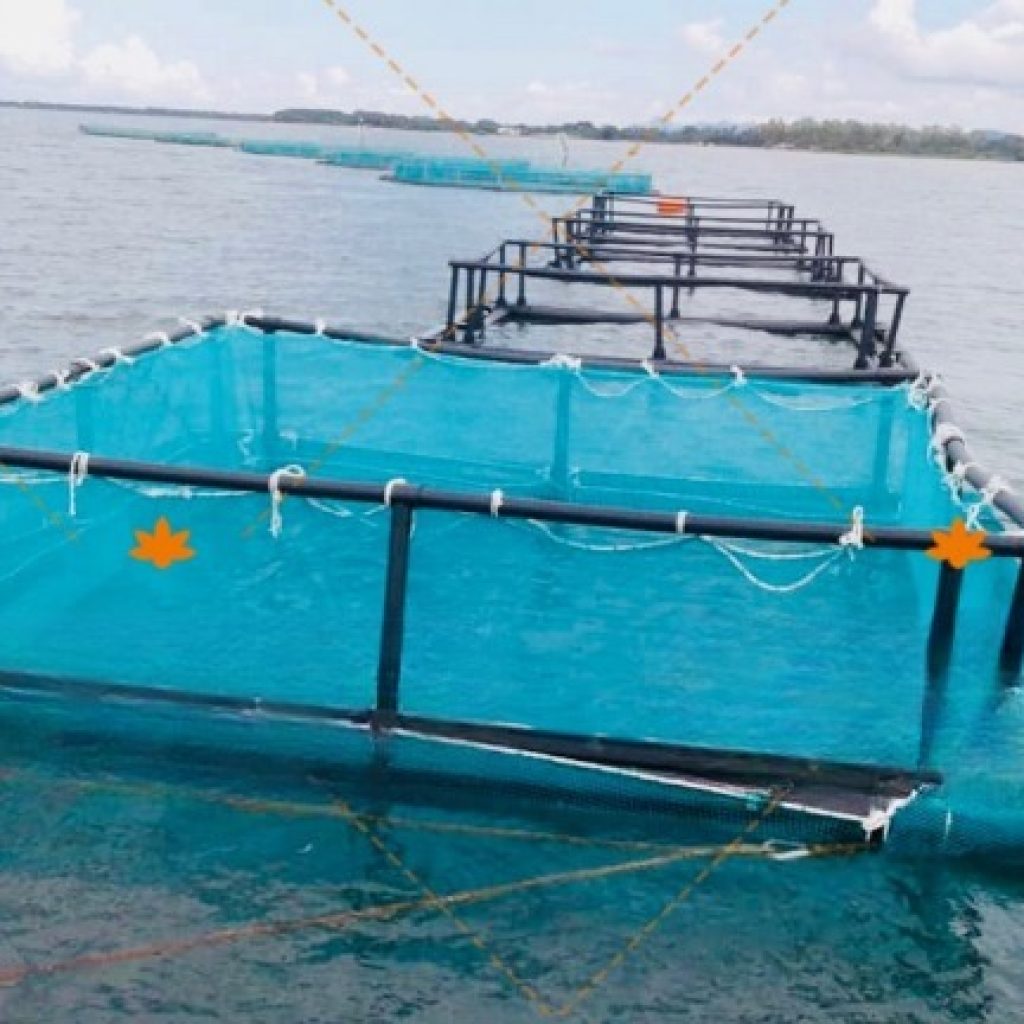 HDPE-Floating-Square-Aquaculture-Cage-Fishing-Net-Cage_cleanup HDPE-Floating-Square-Aquaculture-Cage-Fishing-Net-Cage_cleanup